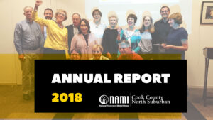 2019 NAMI ANNUAL REPORT