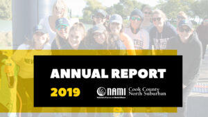 2019 NAMI ANNUAL REPORT