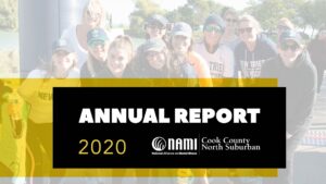 2020 NAMI ANNUAL Appeal letter report